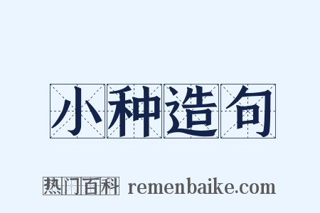 小种造句是什么意思的图片
